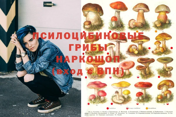 ECSTASY Сосновка