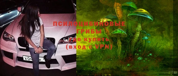 ECSTASY Сосновка