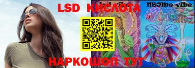 эйфоретик Берёзовский