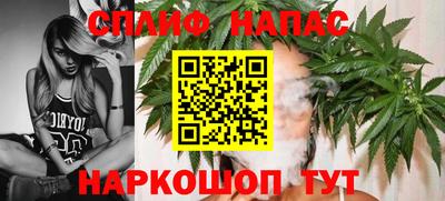 спиды Бийск