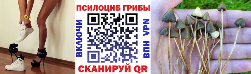 Галлюциногенные грибы прущие грибы  купить  цена  Богородицк 