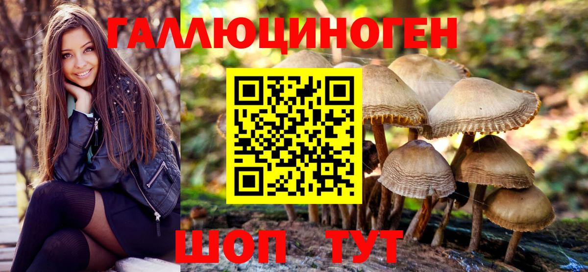 Псилоцибиновые грибы Magic Shrooms Богородицк