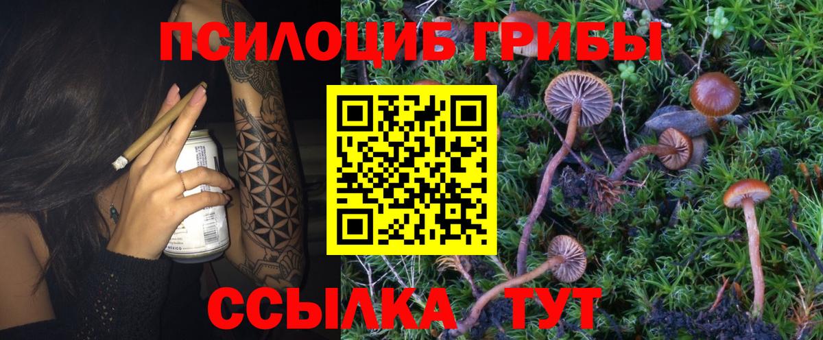 Псилоцибиновые грибы мухоморы  Вход с VPN  Богородицк 