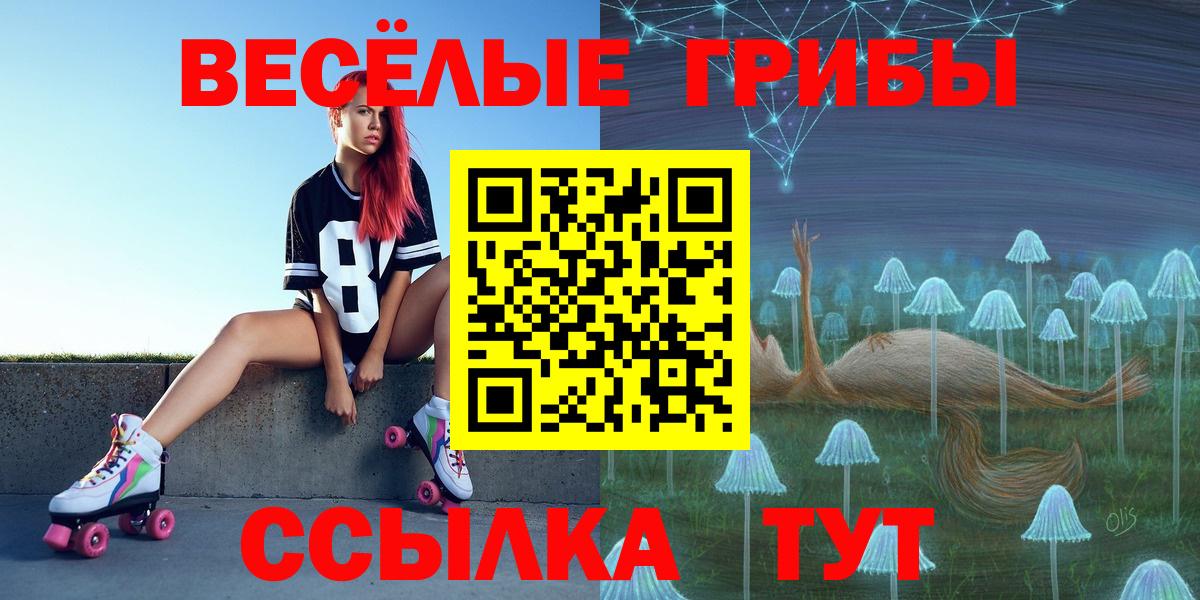 Псилоцибиновые грибы Magic Shrooms  Богородицк  где можно купить   Галлюциногенные грибы Magic Shrooms 